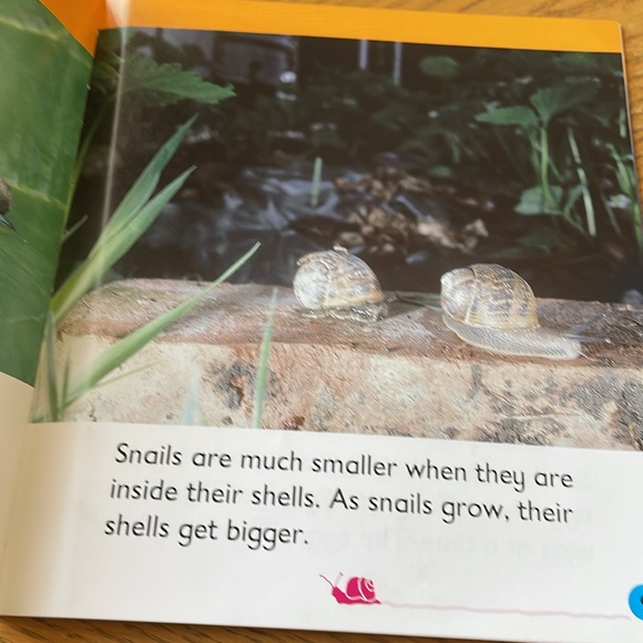 Snail Bug Books - Picture 2 of 6